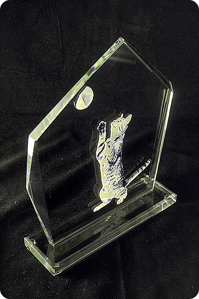 Trofeo de vidrio -  GLA0010