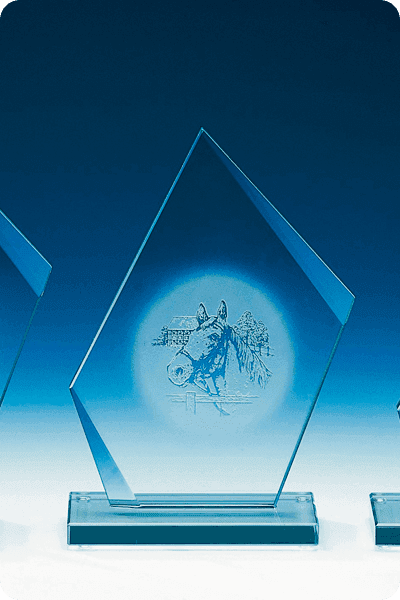 Trofeo de vidrio -  GLA0216